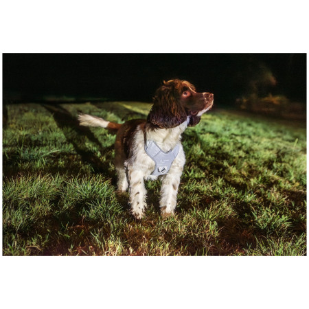 Szelki dla psa Mountain Paws Reflective Dog Harness