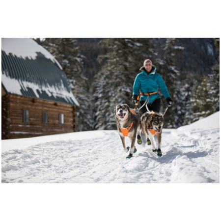 Szelki dla psa Ruffwear Omnijore Joring System