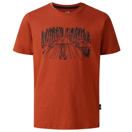 T-shirt dziecięcy Dare 2b Trailbazer III Tee Arabian Spice brązowy ArabianSpice