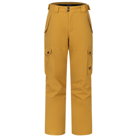 Spodnie męskie Dare 2b Baseplate Insulated Pant jasnobrązowy Wood Brown