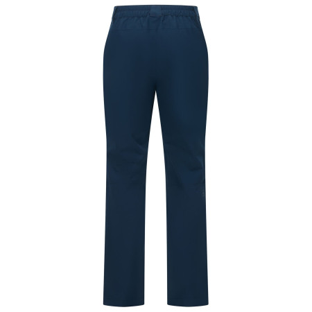 Spodnie męskie Regatta Highton WP Trousers