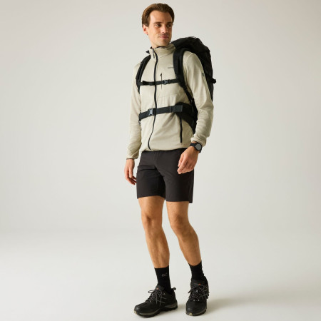 Męska bluza Regatta Hillden Midlayer