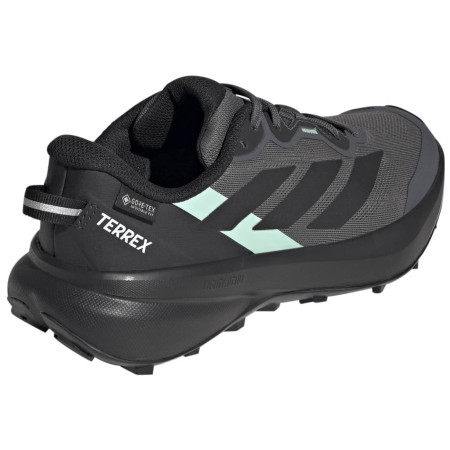 Damskie buty do biegania Adidas Terrex Tracefinder Plus Gtx