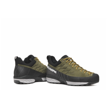 Buty męskie Scarpa Mescalito GTX