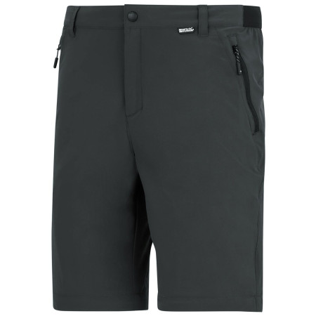 Spodnie męskie Regatta Anti-Insect Travel Light Z/O Trousers