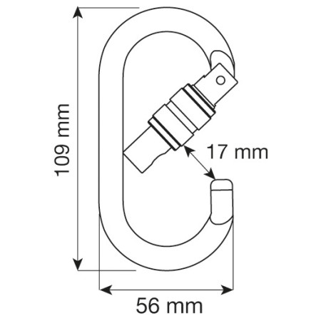 Karabinek Camp Oval Pro Lock