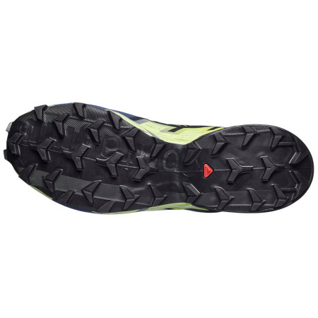 Buty do biegania dla mężczyzn Salomon Speedcross 6