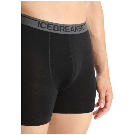 Męskie bokserki Icebreaker Mens Anatomica Boxers