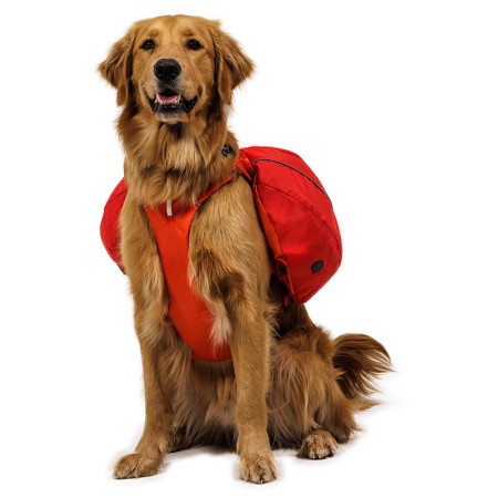 Szelki dla psa Ruffwear Palisades™ Pack