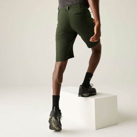 Spodenki męskie Regatta Highton Shorts Long II