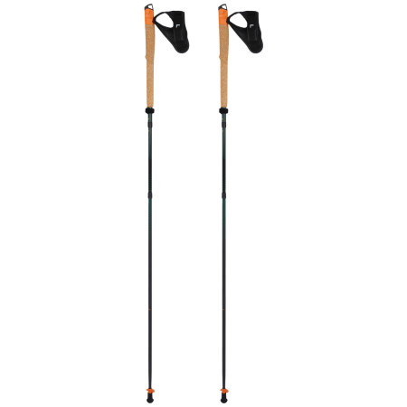 Kije trekingowe Warg Carbon Trailgoat 120 zielony green