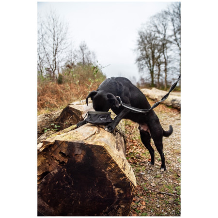 Miska dla psa Mountain Paws Collapsible Dog Food Bowl