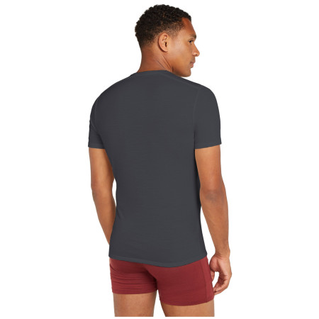 Koszulka męska Icebreaker M Anatomica SS Crewe