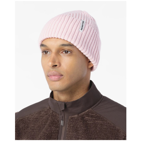 Czapka Salomon Snowbird Beanie U