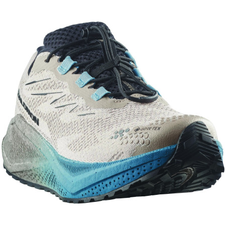 Buty męskie Salomon Aero Blaze 4 Grvl Gtx