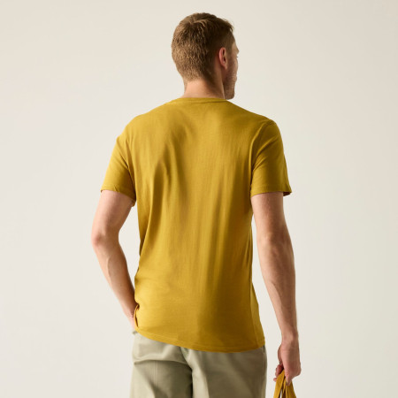 Koszulka męska Regatta Breezed