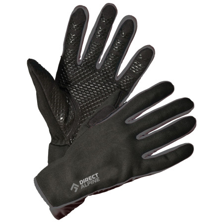 Rękawiczki Direct Alpine Skisport 1.0