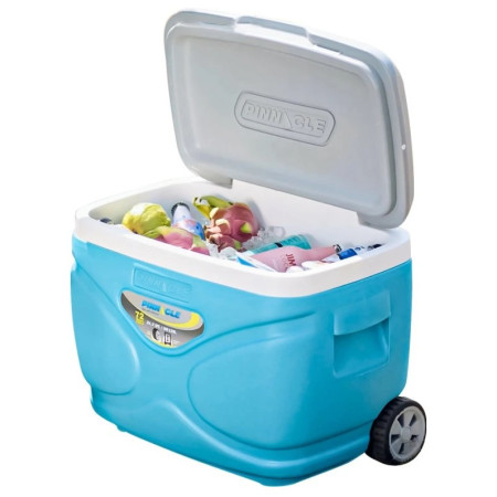 Lodówka turystyczna Pinnacle Prudence 30L