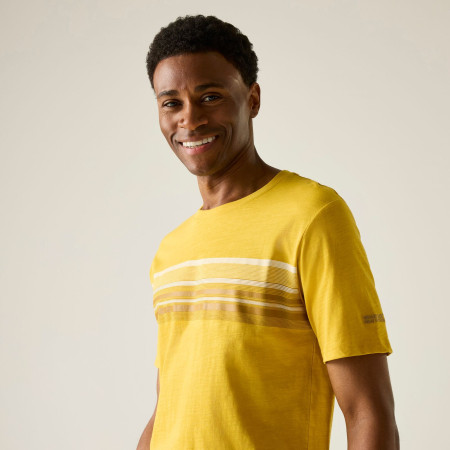 Koszulka męska Regatta Rendro