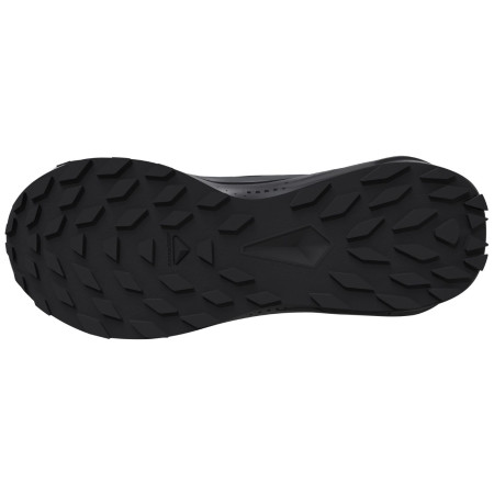Buty damskie Salomon Alphaglide Gore-Tex