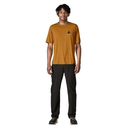 Koszulka męska Patagonia M's Cap Cool Daily Graphic Shirt - Lands