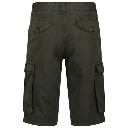 Męskie szorty Regatta Shorebay Short