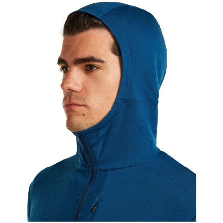 Męska bluza Icebreaker M Mer 260 Quantum IV LS Zip Hoodie