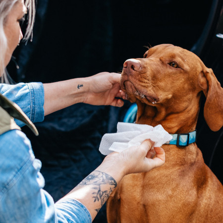 Chusteczki nawilżane dla psów Explorer Dog Naturalne chusteczki nawilżane dla psów 40 szt.
