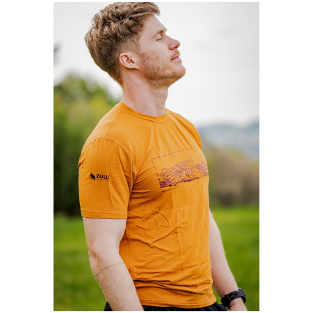 Koszulka męska Zulu Bambus Alpine 210 Short