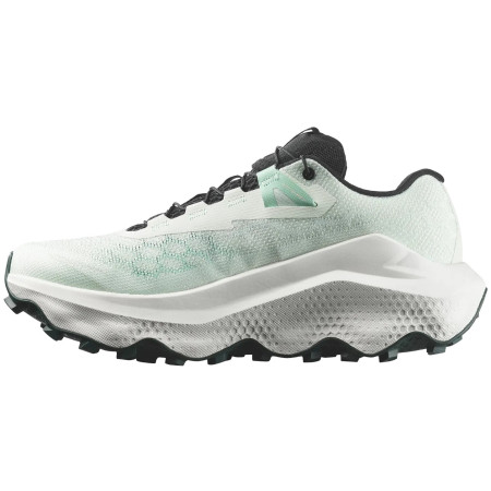 Damskie buty do biegania Salomon Ultra Glide 4