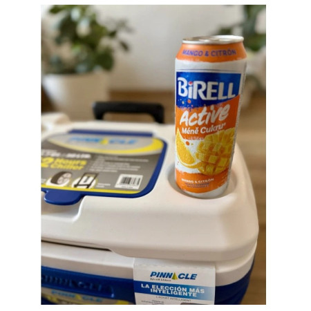 Lodówka turystyczna Pinnacle Prudence 30L