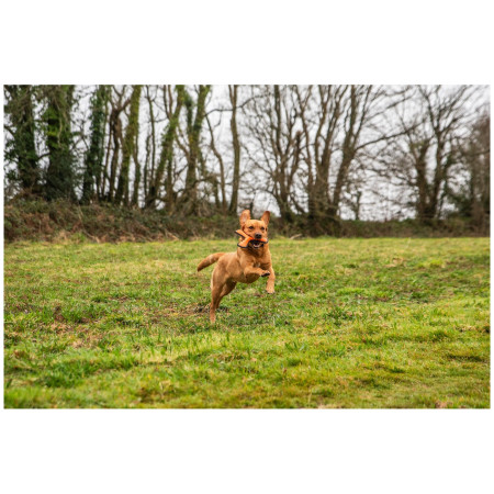 Zabawka dla psa Mountain Paws Rubber Throw Dog Toy