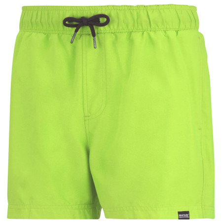 Męski strój kąpielowy Regatta Mawson Swim Shorts III