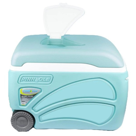 Lodówka turystyczna Pinnacle Proxon 45L