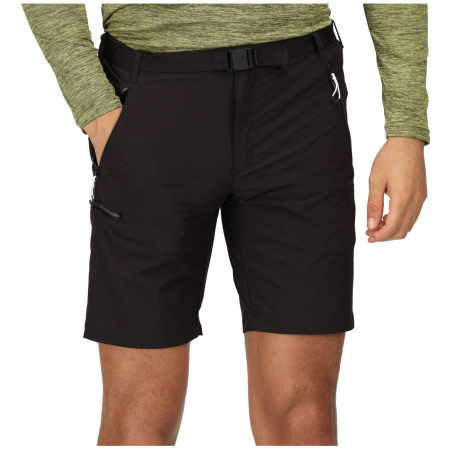 Męskie szorty Regatta Xert Stretch Shorts III