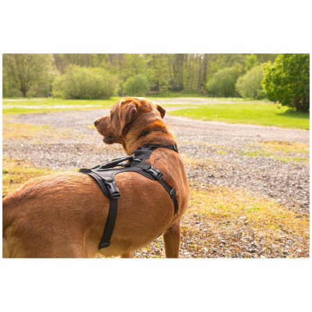 Szelki dla psa Mountain Paws 3-Strap Dog Harness