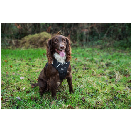 Szelki dla psa Mountain Paws Dog Harness