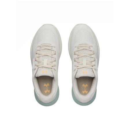 Damskie buty do biegania Under Armour W Charged Bandit Tr 3