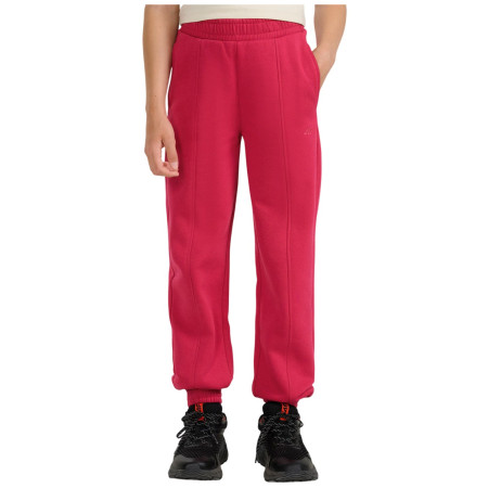 Dziecięce spodnie dresowe 4F Trousers Cas F1242