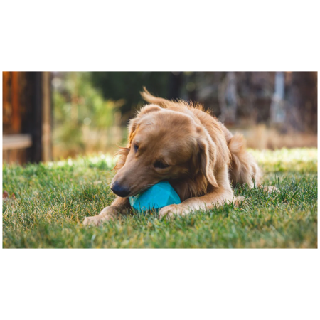 Zabawka dla psa Ruffwear Gnawt-a-Rock™ Toy