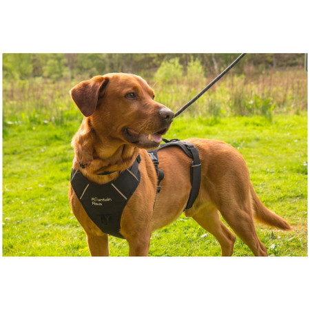 Szelki dla psa Mountain Paws 3-Strap Dog Harness
