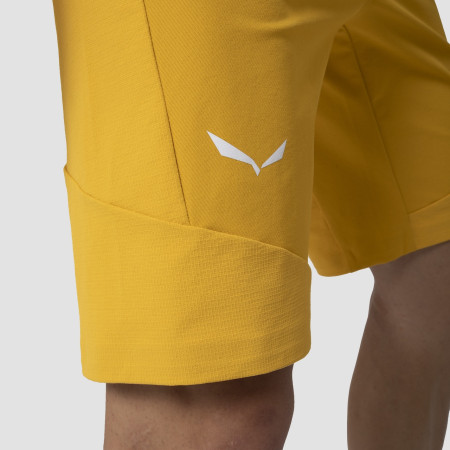 Męskie szorty Salewa Agner Dst M Shorts.