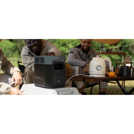 Przenośna stacja zasilania EcoFlow Delta 2