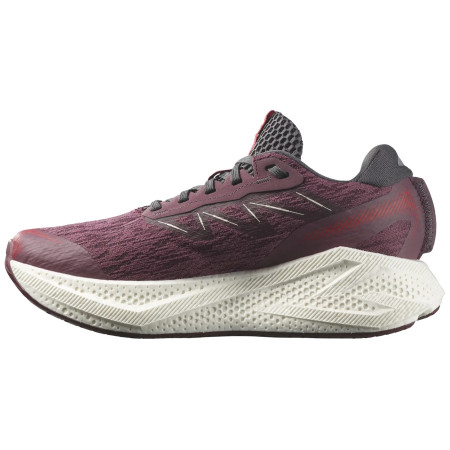 Damskie buty do biegania Salomon Aero Glide 4