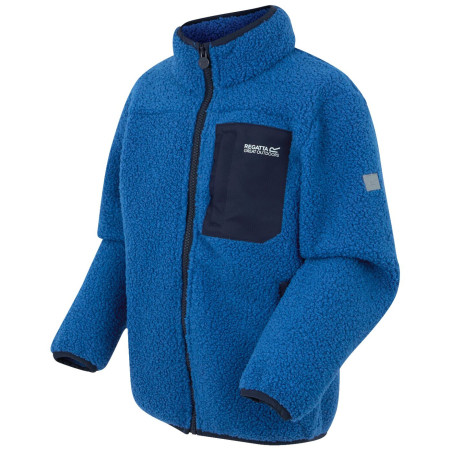 Bluza dziecięca Regatta Junior Frankie Warm Fleece