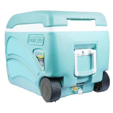 Lodówka turystyczna Pinnacle Proxon 45L