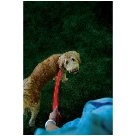 Smycz dla psa Nite Ize LED NiteDog