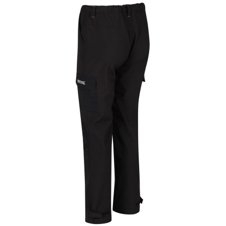 Spodnie męskie Regatta Geo Softshell ll Trousers (Reg