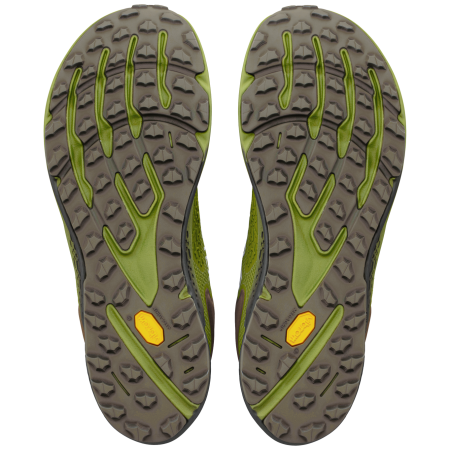 Buty do biegania dla mężczyzn Altra Timp 6 GTX