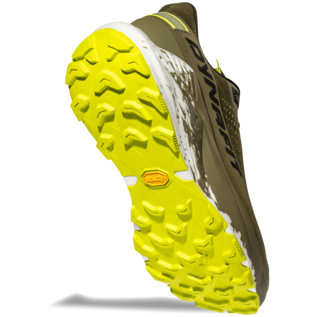 Buty do biegania dla mężczyzn Dynafit Ultra 100 V3 GTX